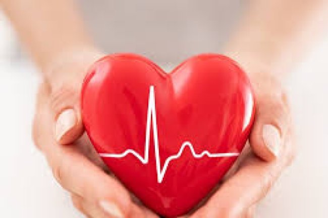 Guide to Dietary Recommendations to Address India’s Disease Burden