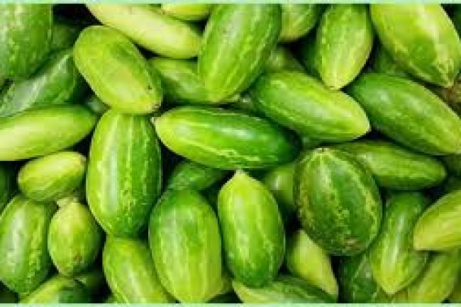 Eat Kundru for Weight Loss and Blood Sugar Control: Discover Ivy Gourd’s Amazing Benefits
