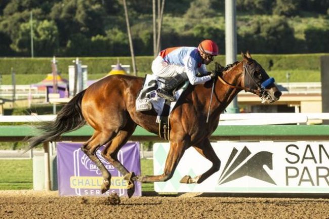 "Breaking News: Preakness Favorite Muth Out Due to Fever!"