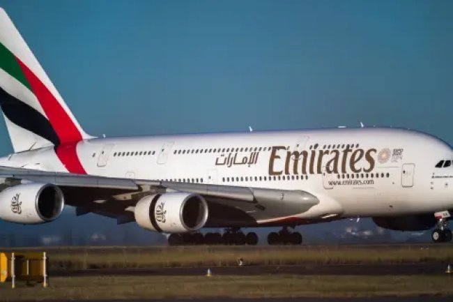 "Emirates Flight Incident: Mumbai's Flamingo Tragedy Revealed!"