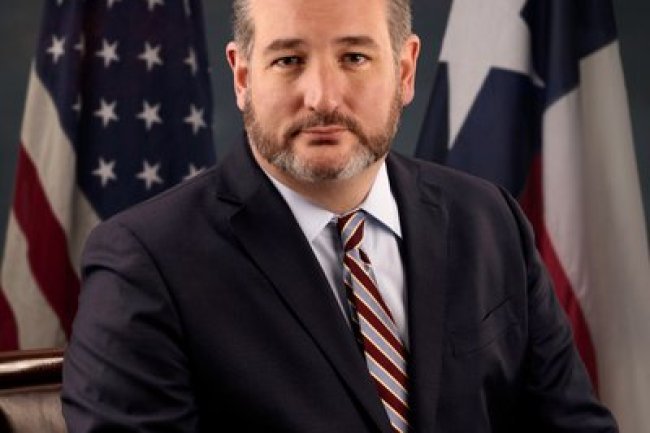 "Ted Cruz Unleashes Fury on Biden Appointee Judge Sarah Netburn: 'You Are a Radical...'"