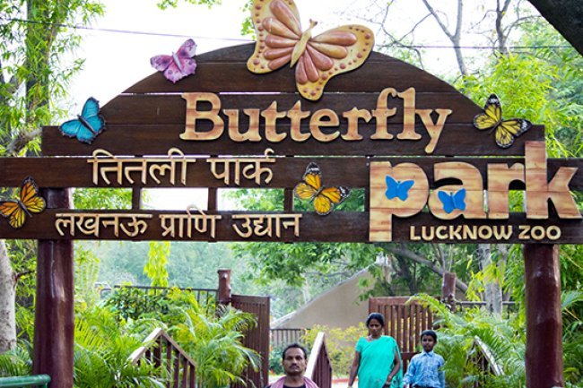 Must See! Lucknow Zoo's 43 Adoptions by Animal Lovers!