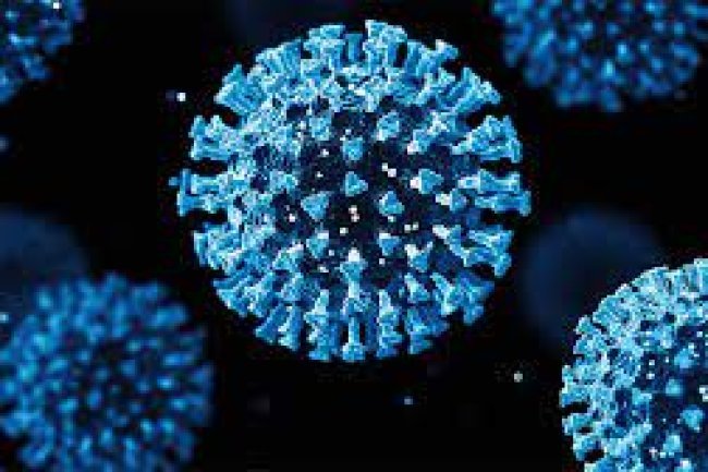 Breaking News: Essential Facts on the FLiRT Variants Amid Rising COVID Cases