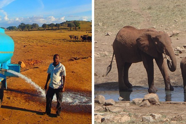 "Gurugram Wildlife Thrives: Thanks to Refilled Dry Aravalli Ponds!"