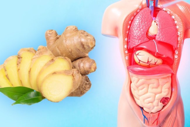 Benefits of Eating Ginger Every Day for a Month
