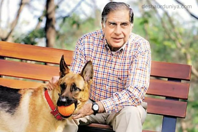 Heartwarming Tale of Ratan Tata's Love for Animals: Woman Posts About Taj Mahal Hotel's Canine Companion