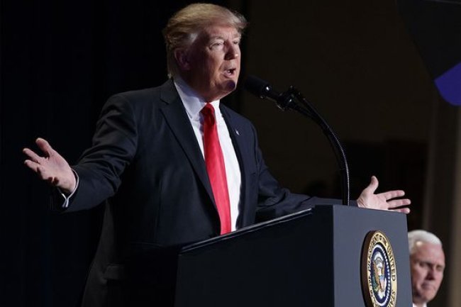 Elon Musk to Become Policy Advisor? Shocking Trump White House Plans!