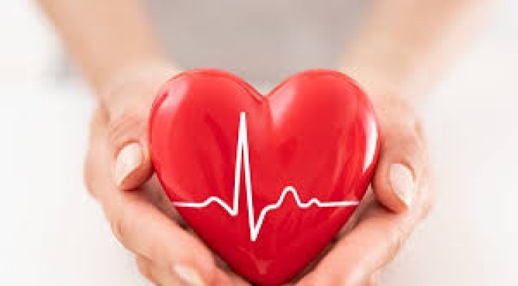 Guide to Dietary Recommendations to Address India’s Disease Burden