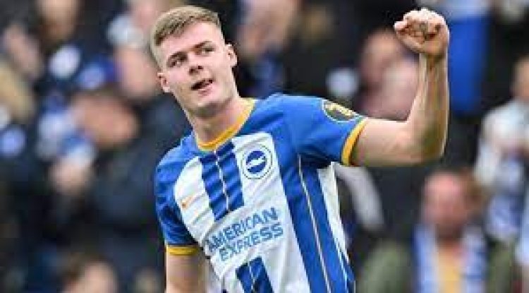 Unveiling Evan Ferguson: The Next Sensation at Brighton