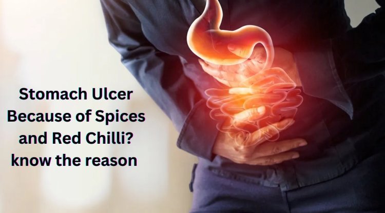 Stomach Ulcer Because of Spices and Red Chilli? know the reason