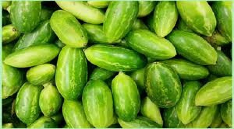 Eat Kundru for Weight Loss and Blood Sugar Control: Discover Ivy Gourd’s Amazing Benefits