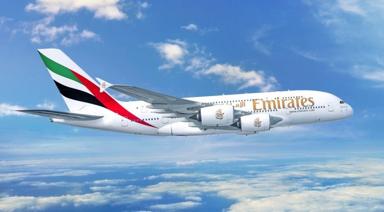 Tragedy in Mumbai: 36 Flamingos Killed as Emirates Flight Hits Flock