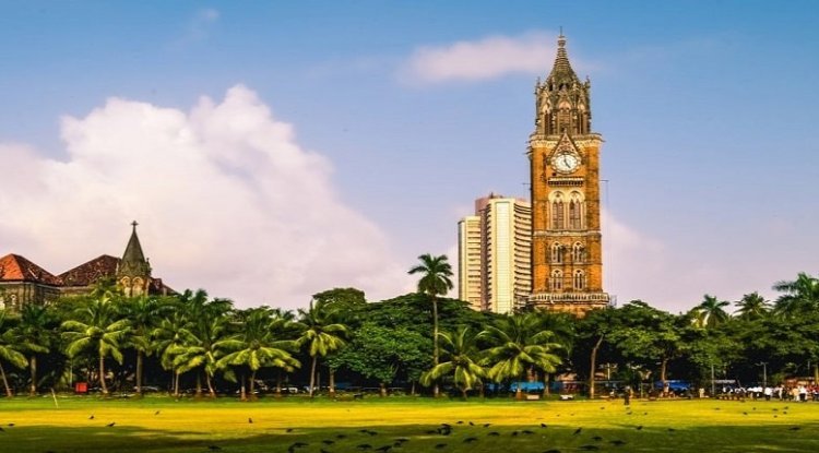 Mumbai University PG Admission 2024 Begins on May 22; First Merit List on June 26
