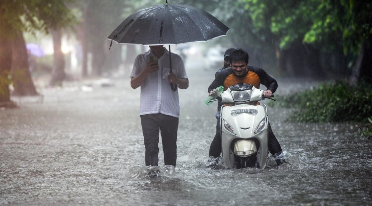 Kerala Rains: IMD Sounds 'Red' Alert in 2 Districts, High Wave Warning - 10 Key Points!