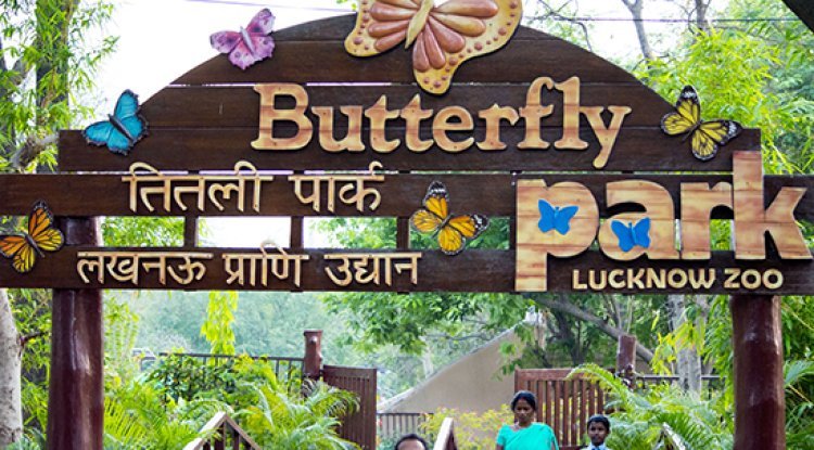 Must See! Lucknow Zoo's 43 Adoptions by Animal Lovers!