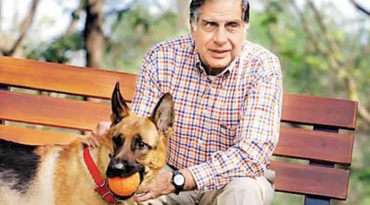 Heartwarming Tale of Ratan Tata's Love for Animals: Woman Posts About Taj Mahal Hotel's Canine Companion