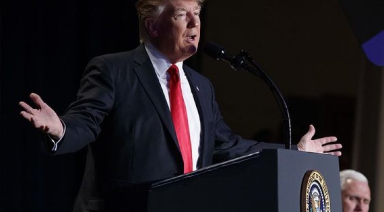 Elon Musk to Become Policy Advisor? Shocking Trump White House Plans!