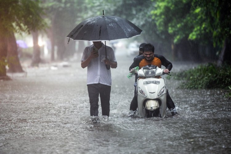 Kerala Rains: IMD Sounds 'Red' Alert in 2 Districts, High Wave Warning - 10 Key Points!