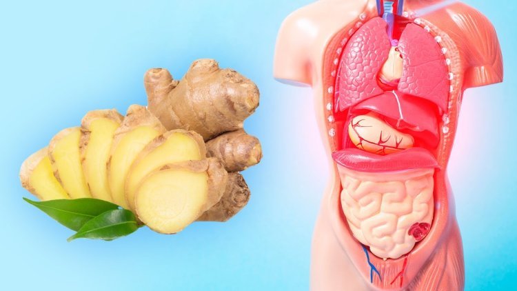 Benefits of Eating Ginger Every Day for a Month