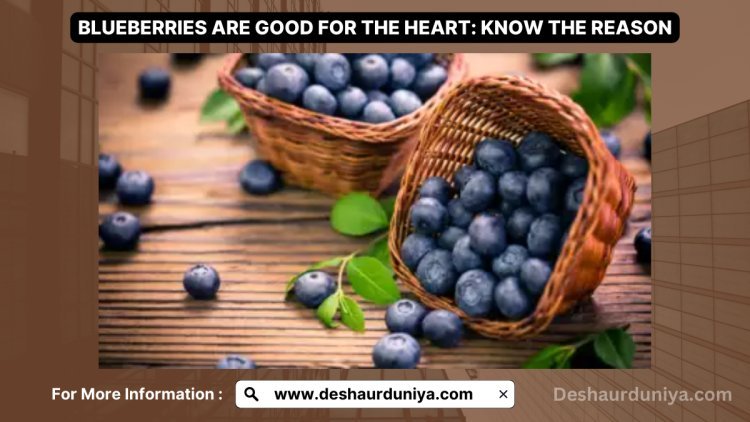 Here's Why Blueberries Are Good For The Heart