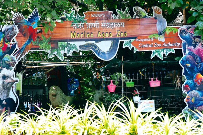 "Private Zoo in Dadar's Bold CZA Claim: Authorities Deny and Investigate"