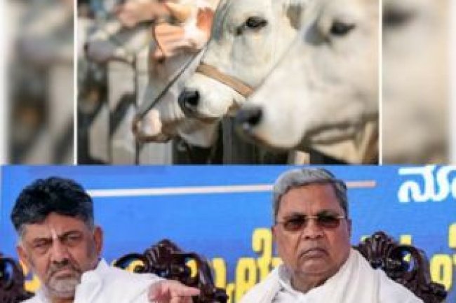 No animal sacrifice performed near temple as claimed by Shivakumar