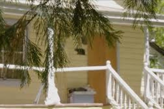 California woman killed in first documented fatal black bear assault in state history