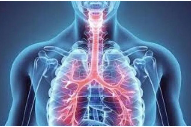 For the "wonder pill" that cures asthma, all roads lead to Karnataka village.