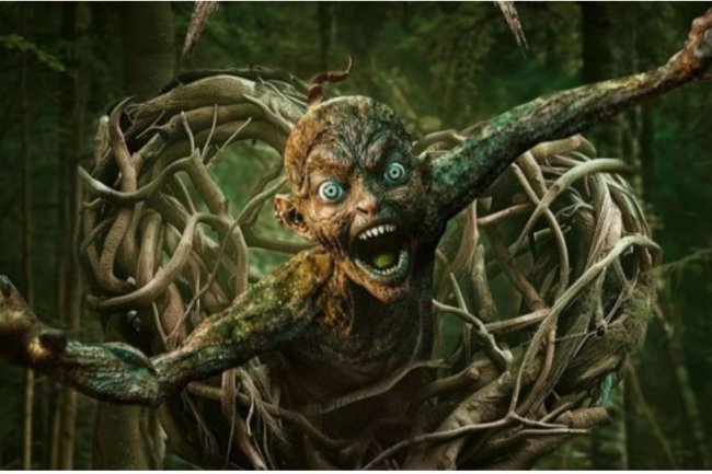 Day 4 box office receipts for Munjya: Sharvari Wagh-Mona Singh's horror comedy declines by 50% and is currently outpacing Mr. and Mrs. Mahi