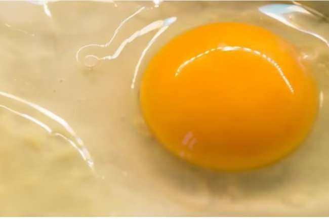 Does an egg's yolk color indicate its quality?