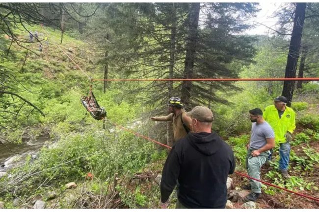 US: After the owner's car falls into a ravine, the dog runs miles to obtain assistance.