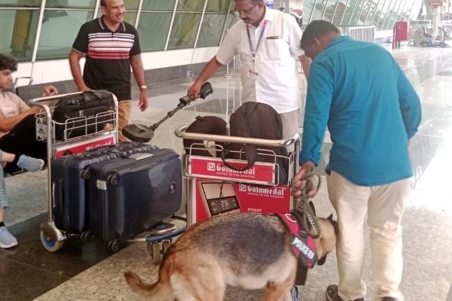 Aviation Security Chief Recommends 5-Year Flying Ban For Hoax Bomb Callers