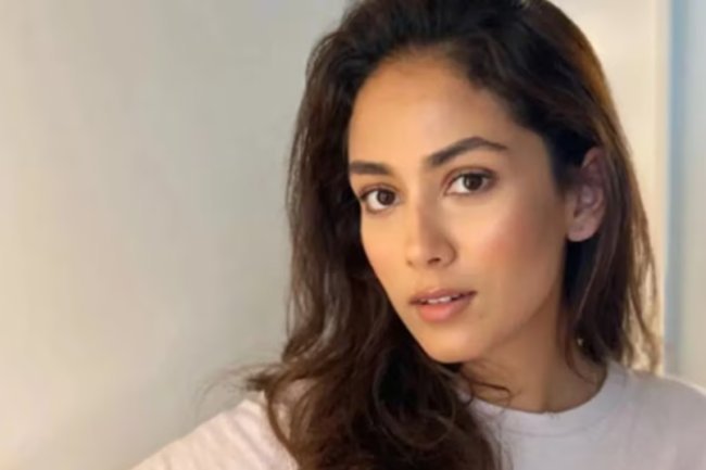 Mira Kapoor claims she "regrets" her derogatory comments on working mothers.