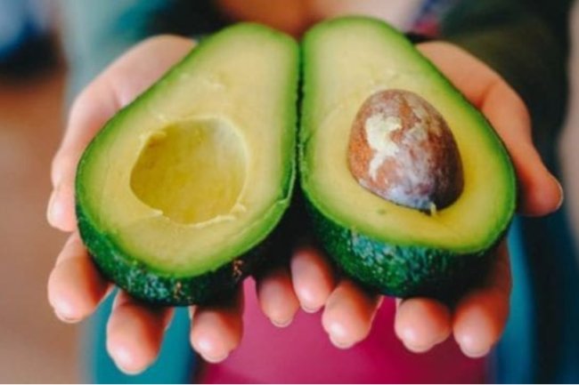 Why do avocados harm the ecosystem, exactly?