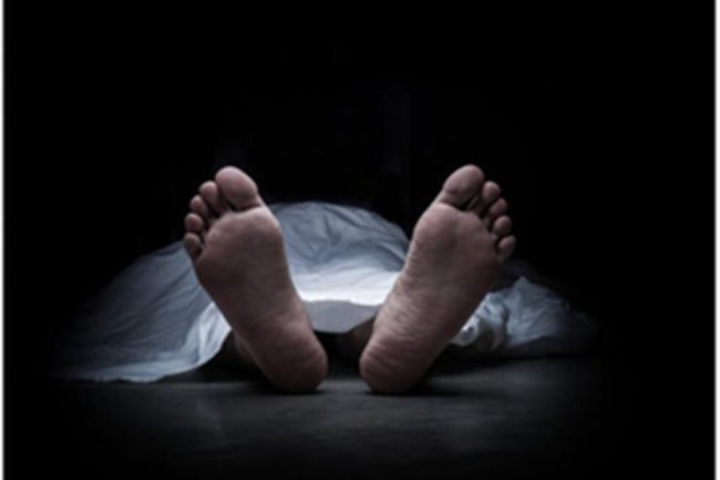 50 pigeons and an elderly couple found dead in Bulandshahr, Uttar Pradesh