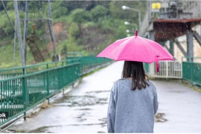 These seven foods should be avoided during the monsoon.