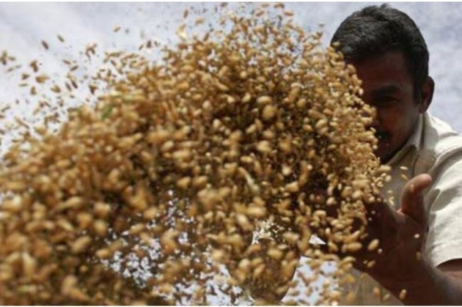 "Pay farmers back the GST and continue agricultural research."