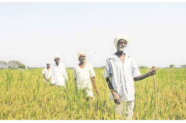 Telangana farmer suicides dropped 686.5% from 2015 to 2022.