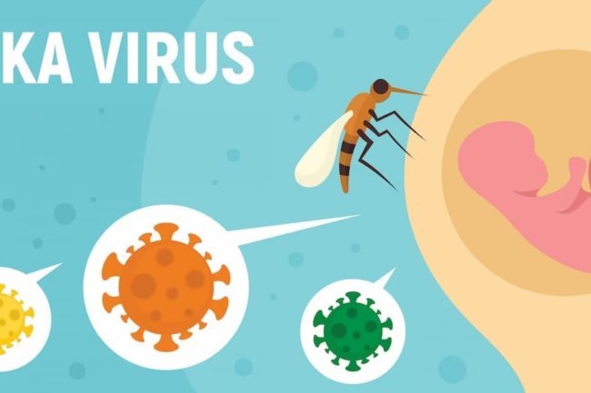 Zika virus and pregnancy: updated recommendations for pregnant moms