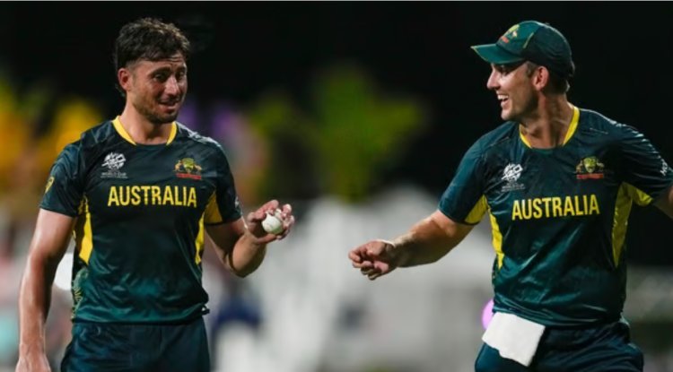 T20 World Cup 2024: Australia vs. Oman Live Score: Marcus Stoinis' incredible all-around performance propels AUS to a 39-run victory
