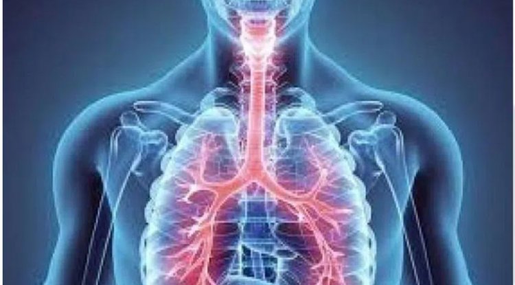 For the "wonder pill" that cures asthma, all roads lead to Karnataka village.