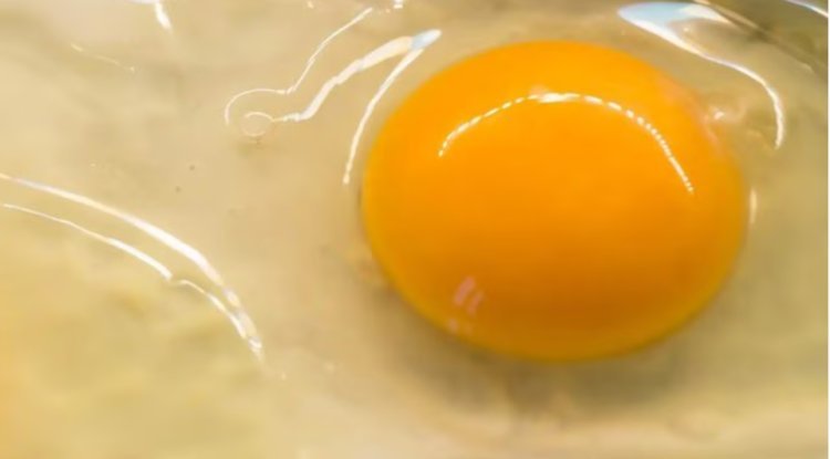 Does an egg's yolk color indicate its quality?