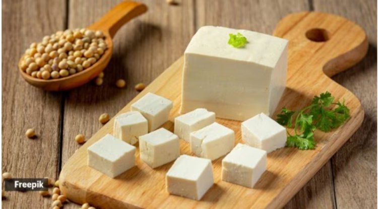 What is the greatest ingredient to make paneer—yogurt, lime, or vinegar? Expert discloses