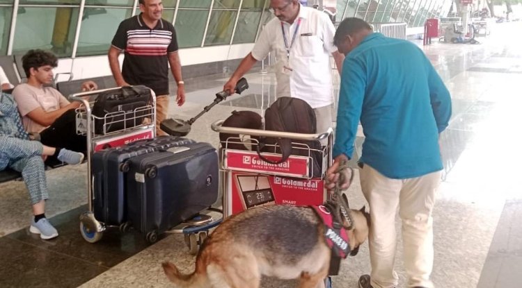 Aviation Security Chief Recommends 5-Year Flying Ban For Hoax Bomb Callers