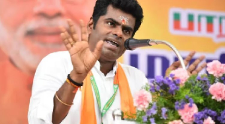 Two leaders are removed by the Tamil Nadu BJP for criticizing K Annamalai and Tamilisai.