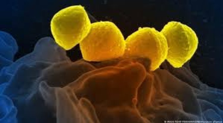 Infections with deadly flesh-eating bacteria are increasing in Japan