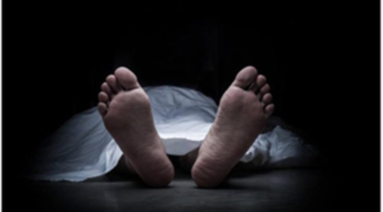 50 pigeons and an elderly couple found dead in Bulandshahr, Uttar Pradesh