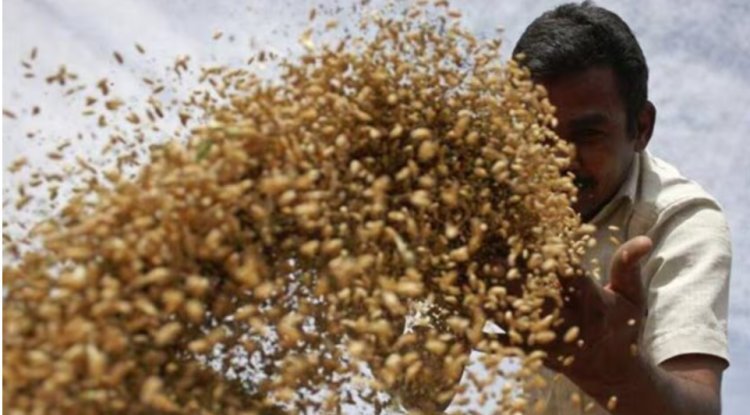 "Pay farmers back the GST and continue agricultural research."