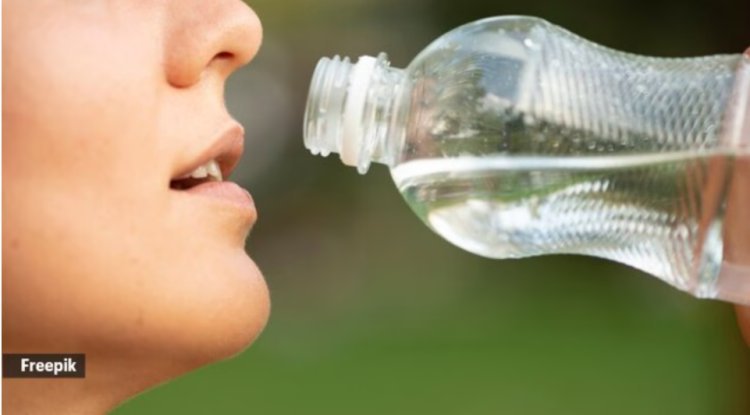 In Kochi, polluted water causes over 300 residents to become ill; here's what you can do to be safe this summer.