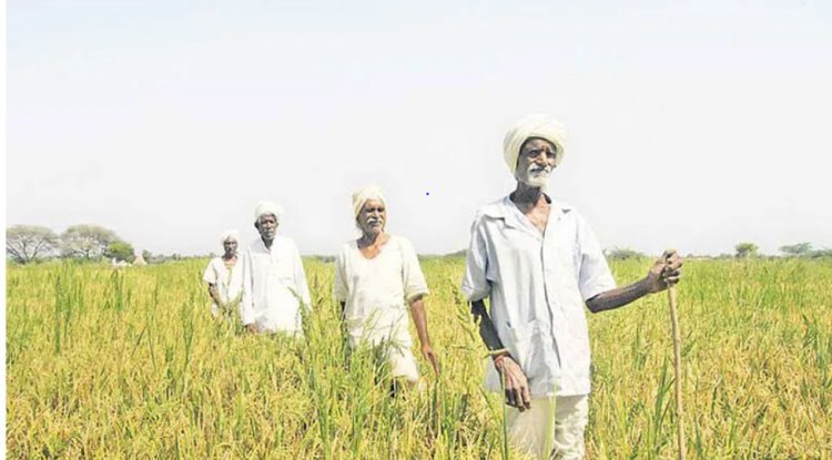 Telangana farmer suicides dropped 686.5% from 2015 to 2022.